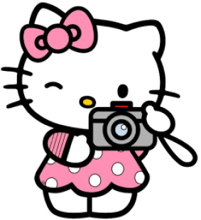 a kitty with camera